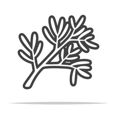Dill leaf outline icon transparent vector isolated