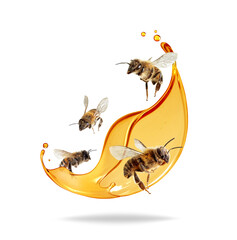 Melted honey with flying bees close up on a white background