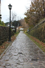 雨上がりの坂道
