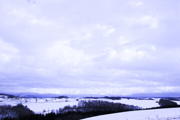 冬の丘陵地帯とカラ松林
