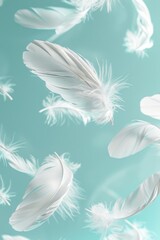Delicate White Feathers on Light Blue Background