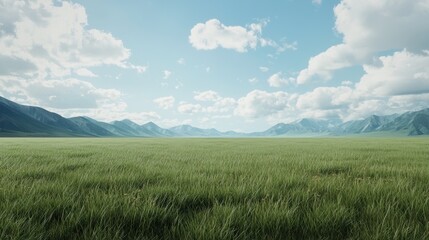 A vast, open field with a clear blue sky and a few clouds
