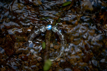 Luminous stone soaking in the river, stone glowing in the water, in New Taipei City, Taiwan.