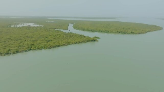 Aerial view of the indus river delta mangrove forest creating a beautiful green shore line along the water