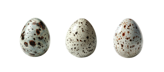Close-up of three speckled quail eggs on transparent background