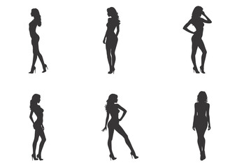 Silhouettes of Fashionable Women in Elegant Poses