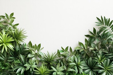 Bright Indoor Space Featuring White Walls and Lush Green Plants for Refreshing Ambiance