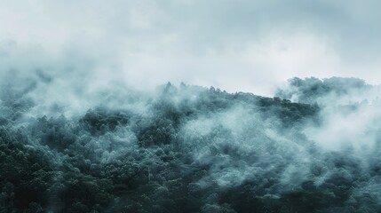 Obraz premium Misty Mountain View with Fog in a Large Space