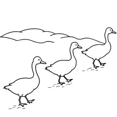 Charming Family of Snow Geese in Flight Vector Illustration Celebrating the Beauty of Wildlife
