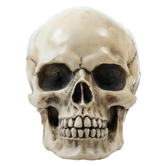 Obraz premium Antique skull with cracked texture, isolated on transparent cutout background