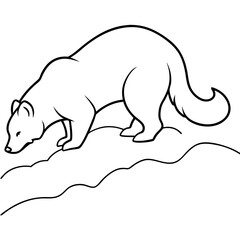 Fierce Wolverine Digging Deep in the Forest Vector Illustration
