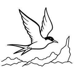 Arctic Tern Vector Illustration Capturing the Beauty of This Amazing Migratory Bird
