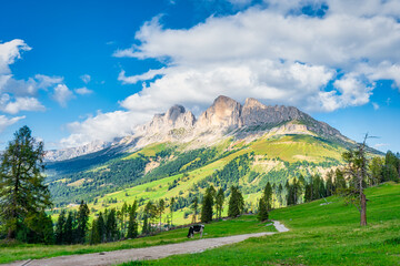 Dolomiten - Rosengarten