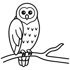 Barred Owl on a Branch Vector Illustration Against a Starry Night Sky
