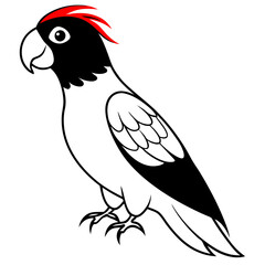 Explore the Beauty of the Black Capped Lory with Our Vector Illustration Ideal for Educational Projects and Creative Designs
