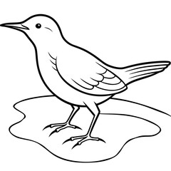 Scenic Dipper Resting on Icy Edge of Stream Vector Image
