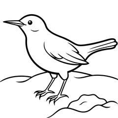 Dipper Bird Perched on Ice by a Tranquil Stream Vector Illustration
