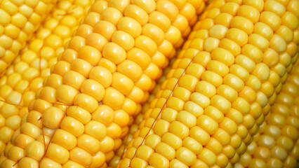 fruits of ripe, peeled corn, close-up 