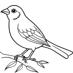 Stunning Orange Weaver Bird Vector Illustration Showcasing Colorful Feathers and Intricate Nesting Behavior
