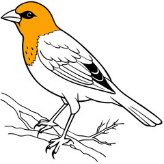 Stunning Vector Illustration of Orange Weaver Bird Nesting in Tropical Paradise
