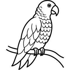 Colorful Vector Illustration of an African Grey Parrot Perched Amidst Tropical Vines
