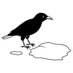 Majestic Raven Picking at Seeds on a Rocky Mountainside Vector Illustration
