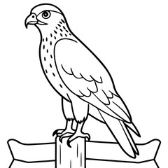 Explore the Beauty of RedTailed Hawk with Vibrant Vector Illustration in Dynamic Poses
