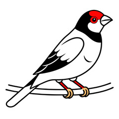 Explore the Beauty of Star Finch in a Detailed Vector Illustration
