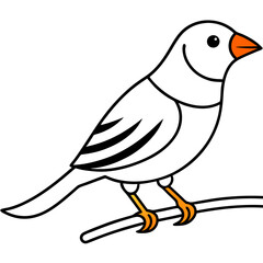 Detailed white zebra finch vector illustration for birdwatching fans and digital artists
