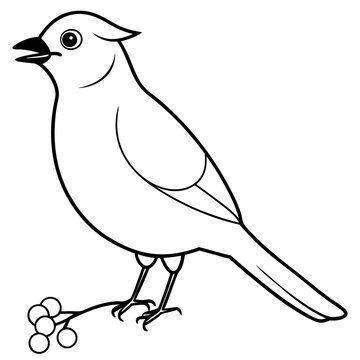 recommend clip art: Waxwing Eating Habits Illustrated in a Stunning Vector Illustration
                    