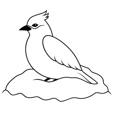 recommend clip art: Stunning waxwing grooming scene rendered as an intricate vector illustration
                    