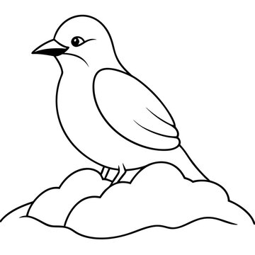 recommend clip art: Beautiful waxwing grooming captured in detailed vector illustration
                    