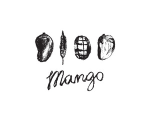Vector mango symbol. Charcoal drawing. Organic Mango sign. Tropical fruit symbol. Black sketch of Exotic fruit. Hand lettering Mangoes emblem. Asian Mangos fruit illustration. Carabao mango doodles.