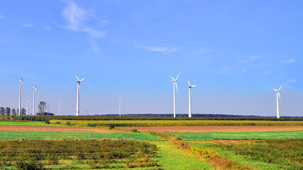 Wind mills during bright summer day