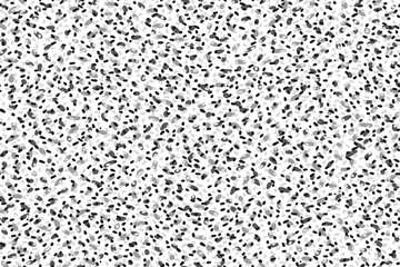 Painted spotted seamless pattern.  Black and white background. Vector hand drawn tiny abstract shapes dots, drops, spots, snowflakes print. Contemporary ornament.