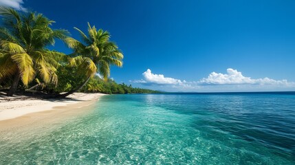Fototapeta premium Tropical beach with clear water, palm trees, and blue sky, perfect for relaxation and nature views.