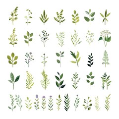 Minimalist Collection of Diverse Botanical Representing Various Types of Plants and Herbs