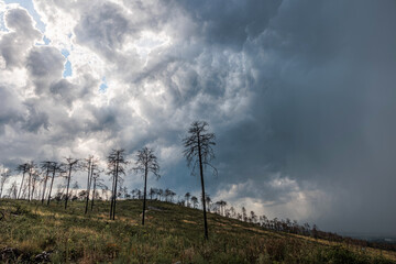 vista panoramica su un ambiente collinare durante l'arrivo di un forte temporale estivo che oscura il cielo, tra Italia e Slovenia