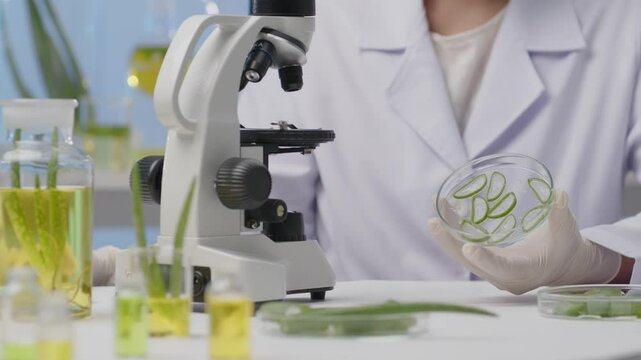 A scientist is shown opening a glass container to expose slices of finely cut aloe vera in sample footage in a contemporary laboratory outfitted with experimental equipment.