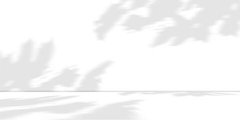 Stage floor and soft shadow leaves on wall light gray and gradient style studio room pattern. transparent background with png