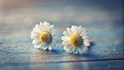 Obraz premium Long shot small daisy earring in lomography effect style