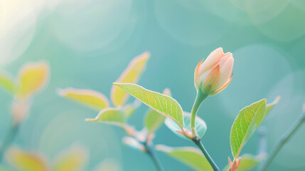 Delicate flower bud surrounded by vibrant green leaves in a serene natural setting
