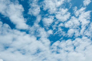 さわやかな秋の晴天の青空と薄い雲の背景　アウトドア・行楽・キャンプ	