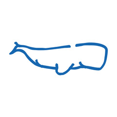 whale marine mammal animal doodle icon sketch vector. whale marine mammal animal sign. isolated symbol illustration