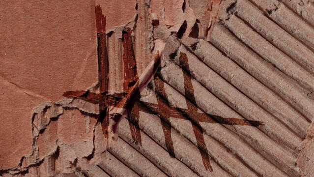 Cardboard Transition 04