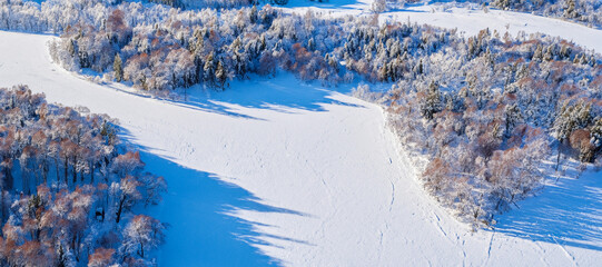 snow covered mountains
