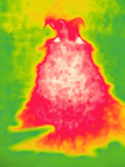 puck (sylvan spirit) goblin, hairy devil. Thermal Impressionism