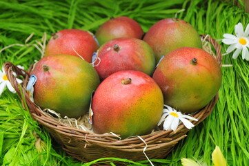 Ambiance Pâques,  mangues, fraises et oeufs