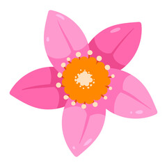 hand drawn colorful flower illustration on a white