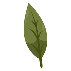 hand drawn colorful flower illustration isolated on the white